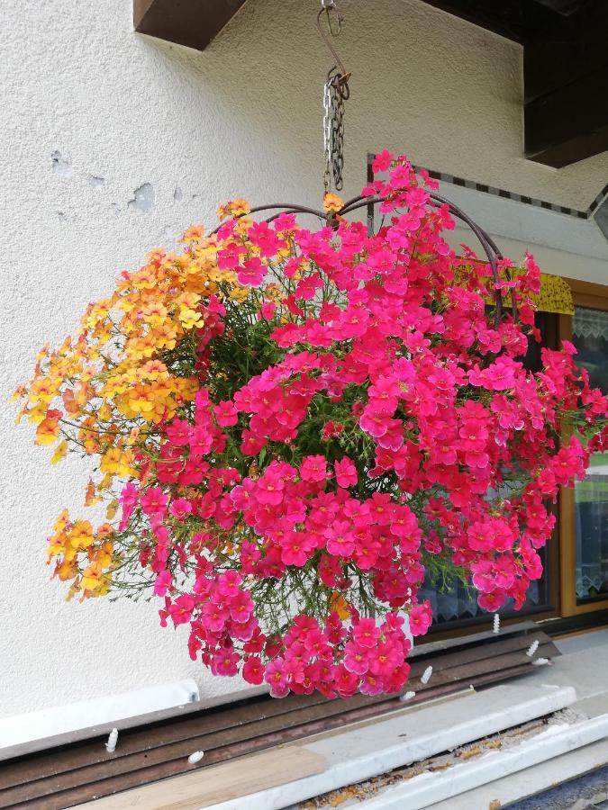 Haus Seppi 호텔 Neukirchen am Großvenediger 외부 사진