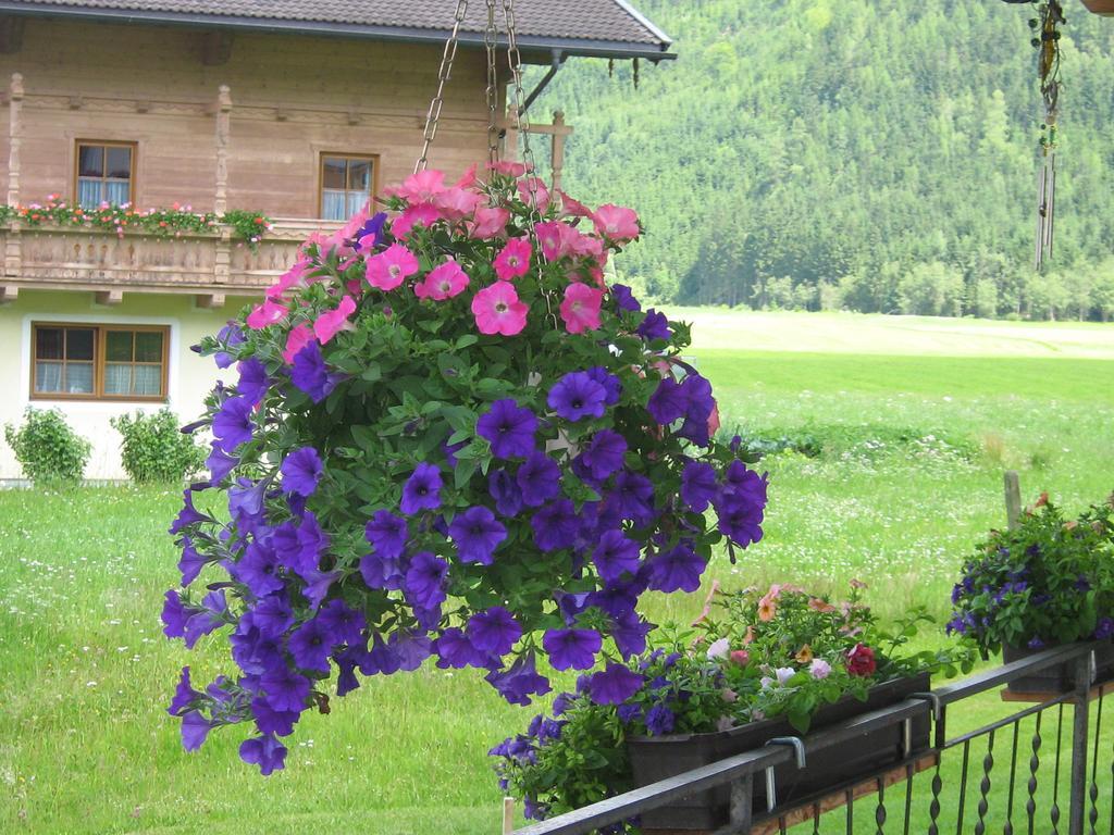 Haus Seppi 호텔 Neukirchen am Großvenediger 외부 사진